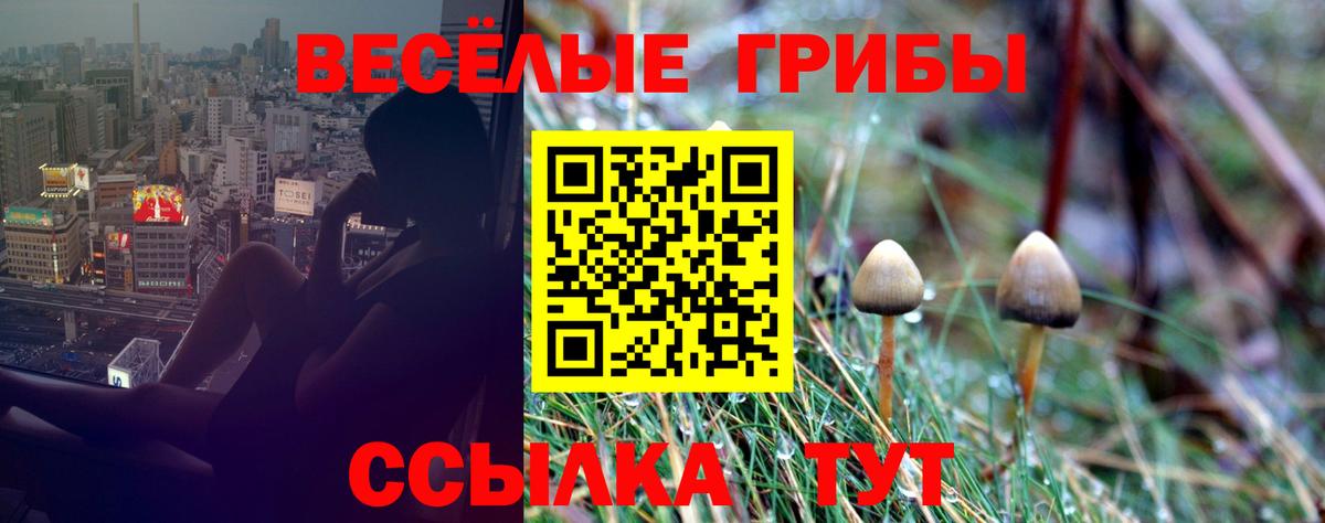 Галлюциногенные грибы ЛСД Орёл